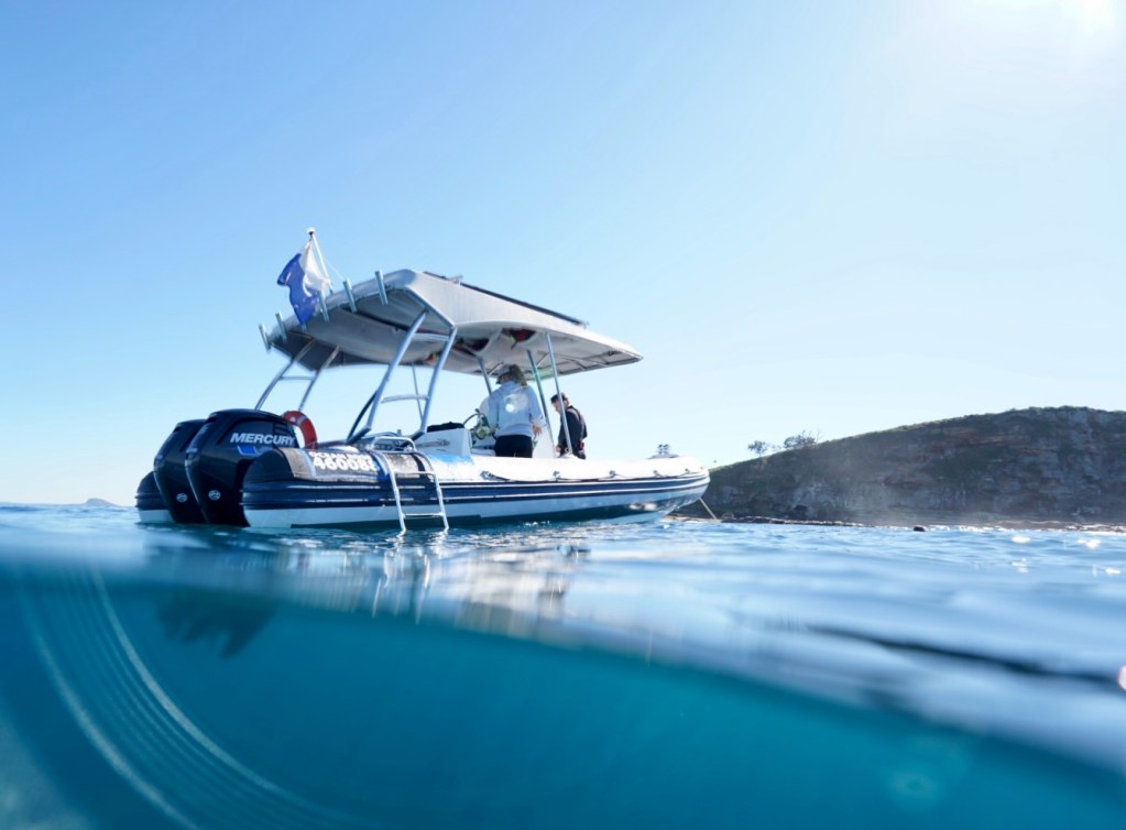 Ocean Rose vessel from The Pressure Project in Sunshine Coast Queensland. Book Whale Swim. 